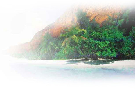 Canyon Beach - Visual Communications